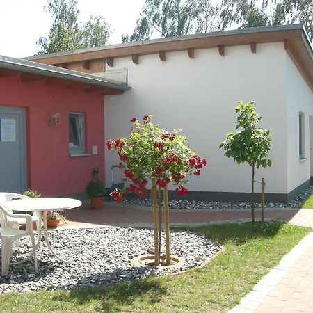 Barrierefreie Ferienwohnung Sonne Auf Ruegen Breege Buitenkant foto